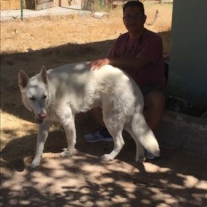 Meet your Posher, Henry